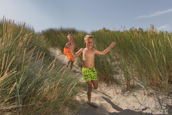 Roompot Domein Het Camperveer - Aanbieding - Vroegboek